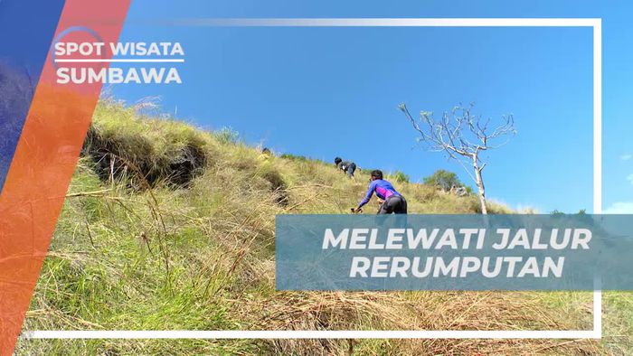 Melintasi Jalur Rerumputan Licin Menuju Puncak Bukit Pulau Kambing Sumbawa 