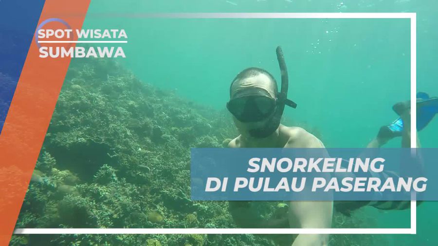 Snorkeling Asik Menikmati Keindahan Bawah Laut Pulau Paserang Sumbawa