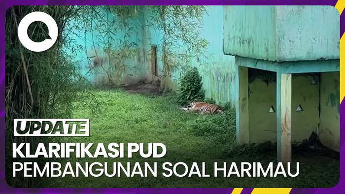 1 Harimau di Medan Zoo Mati Lagi, Kini Tersisa 9