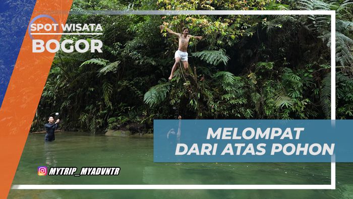 Seru-seruan Melompat ke Leuwi Asoka dari Atas Pohon, Bogor