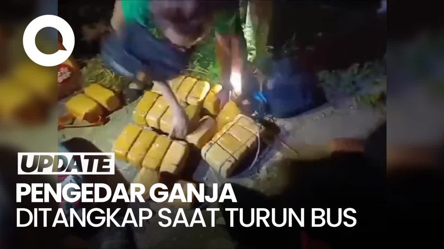 Detik-detik Penangkapan Pengedar Ganja Seberat 22 Kg di Jambi
