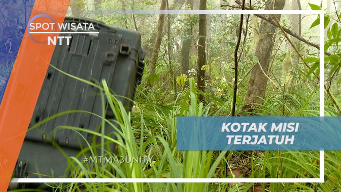 Menuruni Tebing Tinggi Berkabut Mengambil Kotak Peti, Nusa Tenggara Timur