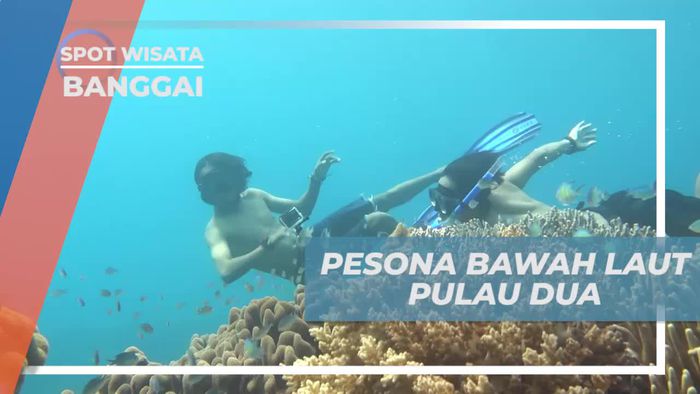 Freedive Menyelami Keindahan Bawah Laut Pulau Dua Banggai
