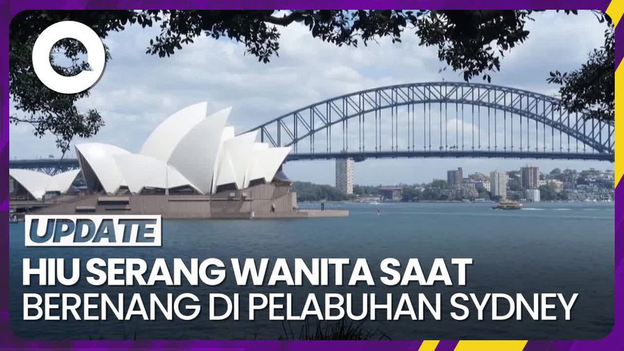 Seorang Wanita Diserang Hiu saat Berenang di Pelabuhan Sydney