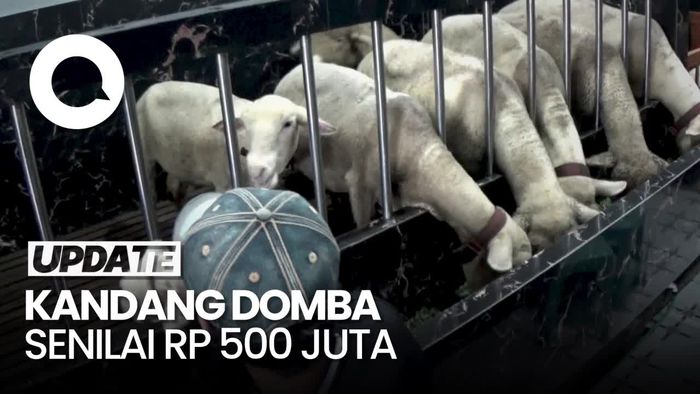 Penampakan Kandang Domba Mewah di Banjarnegara, Dindingnya Pakai Granit