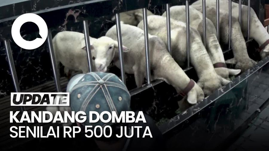 Penampakan Kandang Domba Mewah di Banjarnegara, Dindingnya Pakai Granit