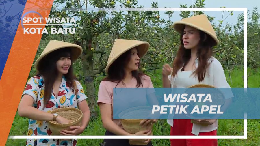 Menikmati Vacation Sambil Mencicipi Manis Legit Buah Apel Khas Kota Batu