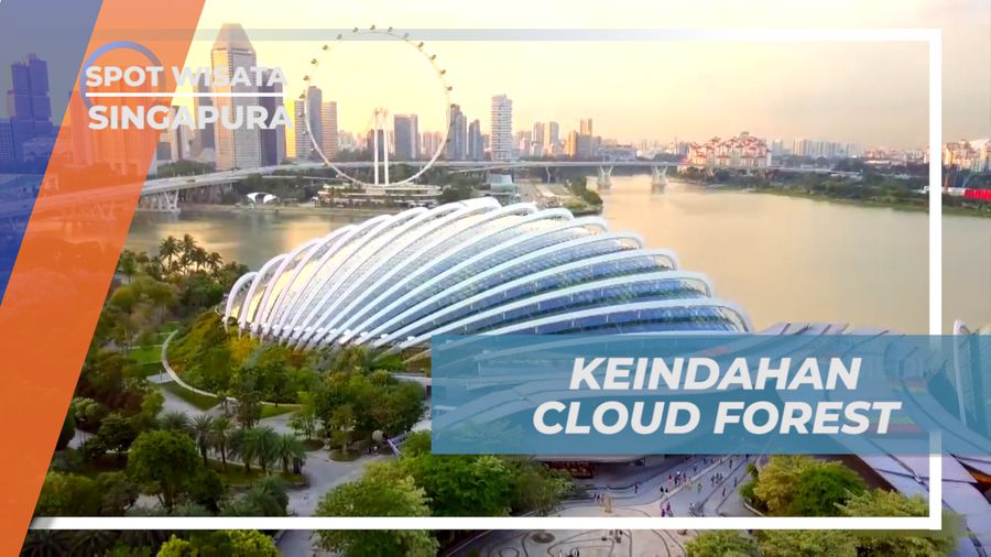 Menikmati Suasana Sejuk Alami Hutan Buatan di Tengah Kota, Singapura