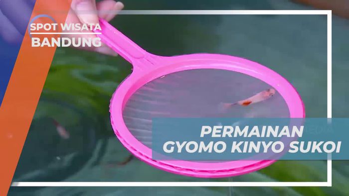 Gyomo Kingyo Sukoi, Permainan Menangkap Ikan Dengan Jaring, Bandung