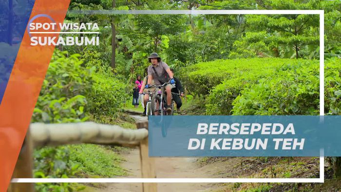 Bersepeda Menyusuri Kesejukan Kebun Teh Sukabumi 