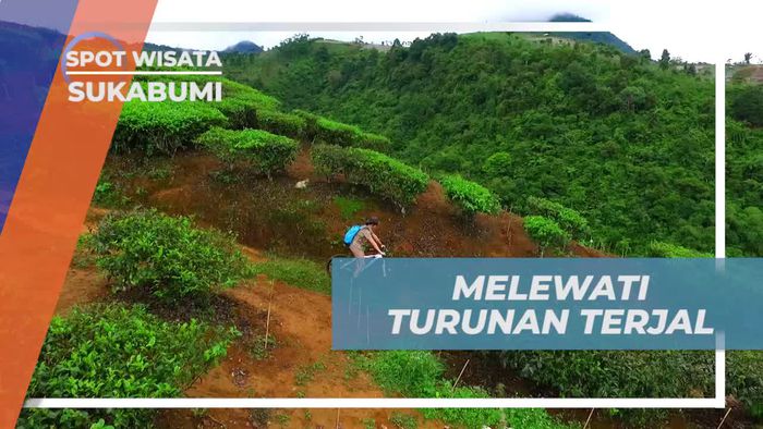 Melintasi Turunan Terjal dan Licin di Kebun Teh Sukabumi 
