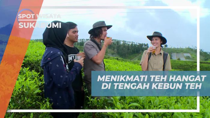 Menikmati Kehangatan Teh Langsung Dari Kebunnya, Sukabumi