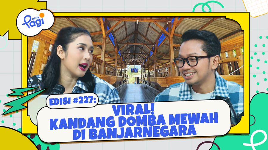 Viral! Kandang Domba Mewah di Banjarnegara
