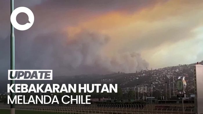 Penampakan Kebakaran Hutan yang Melanda Chile
