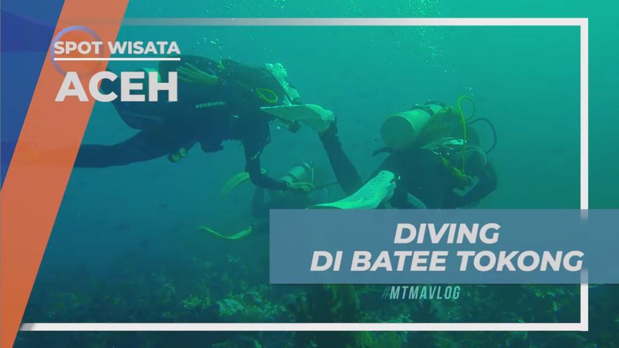 Mengeksplore Pesona Keindahan Spot Diving Batee Tokong, Aceh