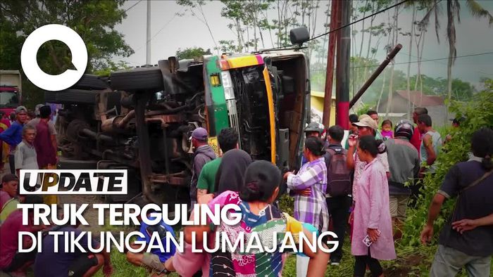 Truk Muatan Batu Bara Terguling di Lumajang, Sopir Tewas Terjepit