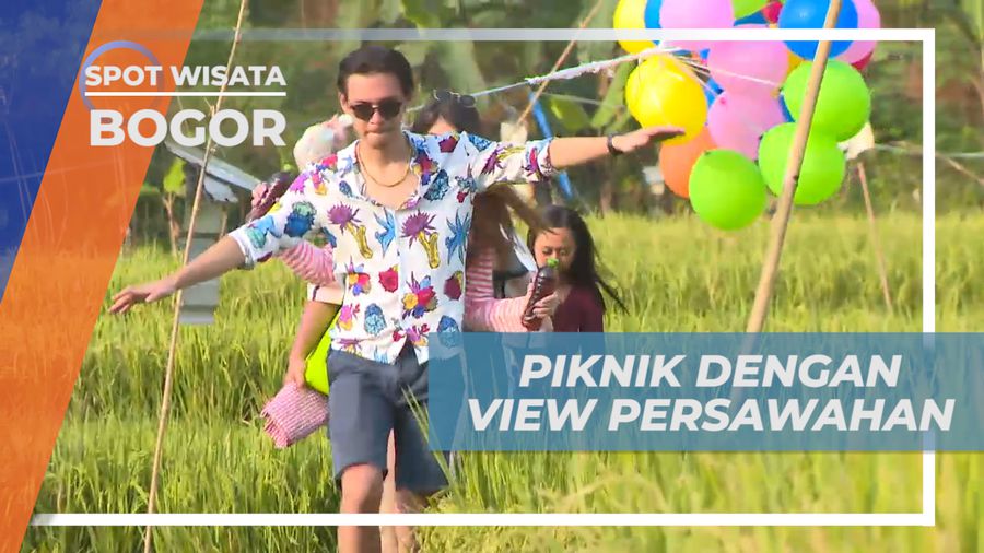 Piknik Seru di Area Persawahan Hijau Dengan View Pegunungan, Bogor