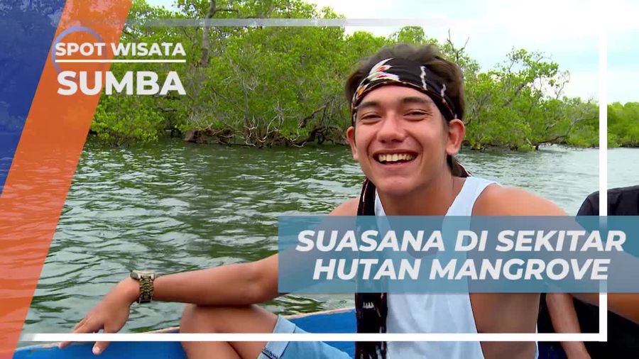 Merasakan Udara Segar di Hutan Mangrove Sumba 