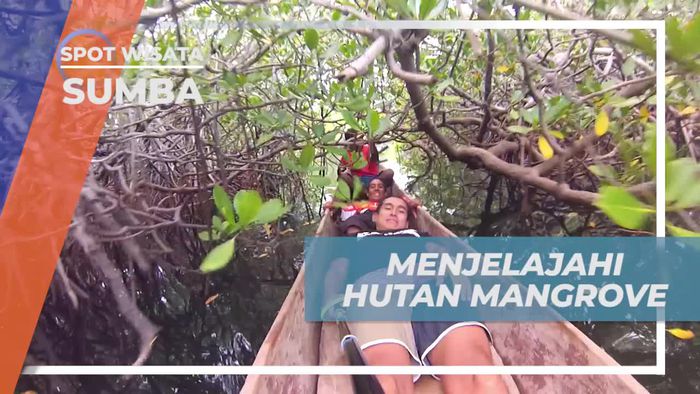 Masuk Lebih Dalam Untuk Menjelahi Kawasan Hutan Mangrove Sumba 