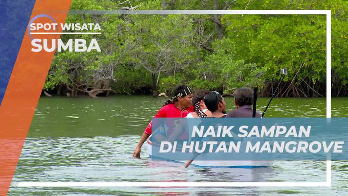 Menjelajahi Kawasan Hutan Mangrove Dengan Naik Sampan, Sumba