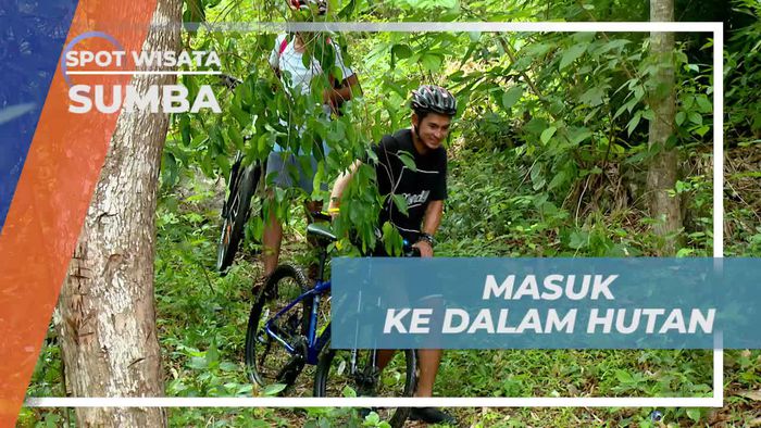 Masuk ke Dalam Hutan, Merasakan Suasana Asri nan Sejuk, Sumba