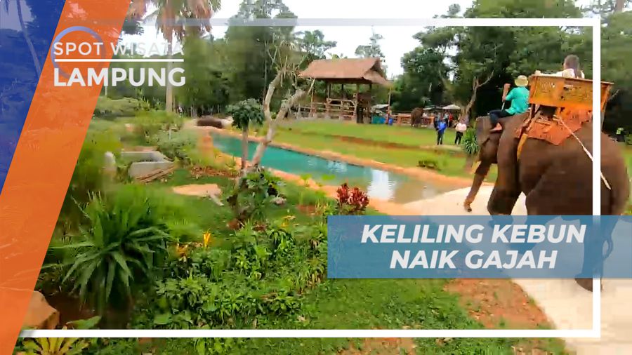 Liburan Seru, Jalan-jalan Keliling Taman Wisata Satwa Naik Gajah, Lampung