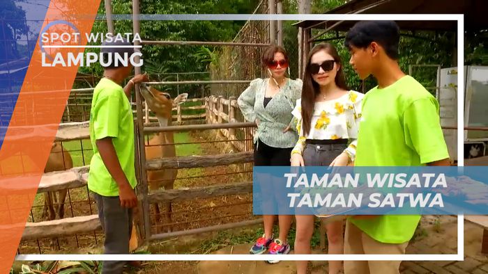 Menjelajahi Beragam Koleksi Satwa di Taman Wisata, Lampung