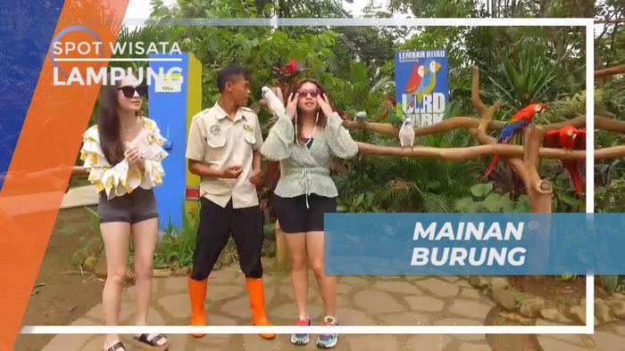 Cekrak-cekrek Berpose Seru Bareng Beragam Jenis Burung Kakatua, Lampung