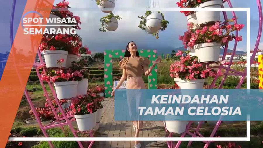 Menikmati Keindahan Aneka Bunga Cantik di Taman Celosia Semarang