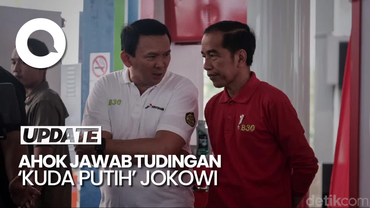 Bantahan Ahok Soal Tudingan Jadi 'Kuda Putih' Jokowi