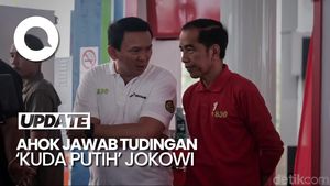 Bantahan Ahok soal Tudingan Jadi Kuda Putih Jokowi