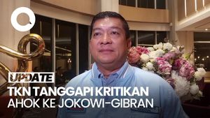TKN soal Ahok Kritik Jokowi-Gibran: Mulutnya Nggak Bisa Beri Kesejukan