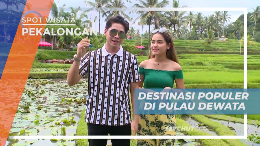 Menikmayi Indahnya Hamparan Sawah Hijau yang Memanjakan Mata, Bali