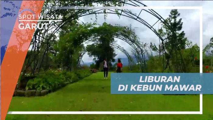 Liburan Seru, Menikmati Suasana Sejuk Alami Kebun Mawar, Garut