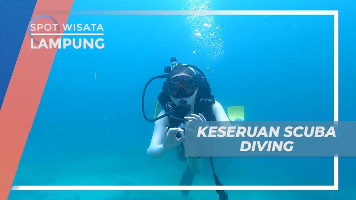Menikmati Indahnya Pemandangan Bawah Laut Dengan Scuba Diving, Lampung