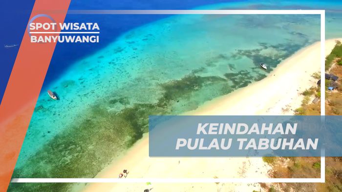 Mengintip Pesona Keindahan Biota Laut di Pulau Tabuhan, Banyuwangi
