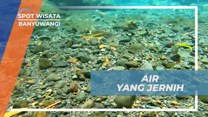 Menikmati Super Bening Air Kolam Alami di Bawah Air Terjun Jagir, Banyuwangi