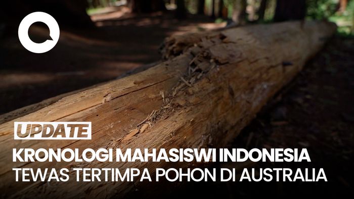 Mahasiswi Indonesia Tewas Tertimpa Pohon Seberat 10 Ton di Australia