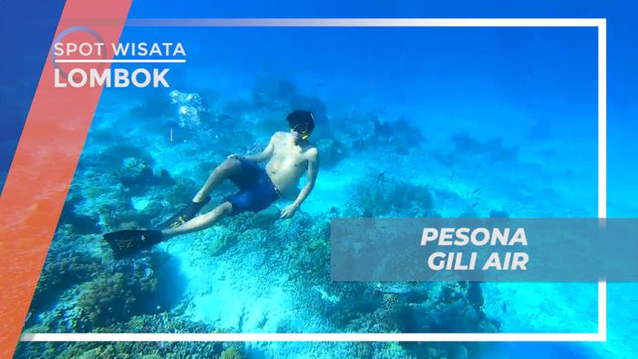 Memanjakan Mata, Menikmati Keindahan Bawah Laut Gili Air, Lombok