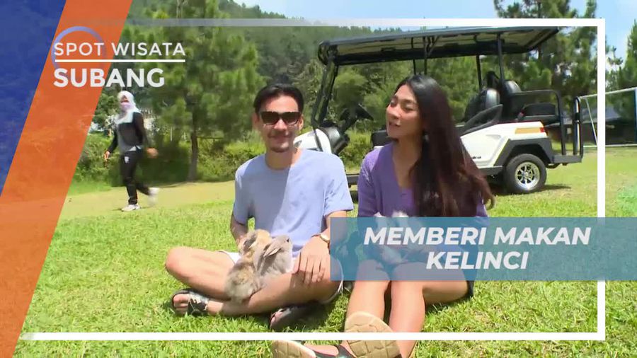 Wisata Seru Memberi Makan Kelinci di Subang