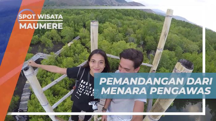 Menikmati Pemandangan Indah Alam Hijau Dari Menara, Maumere