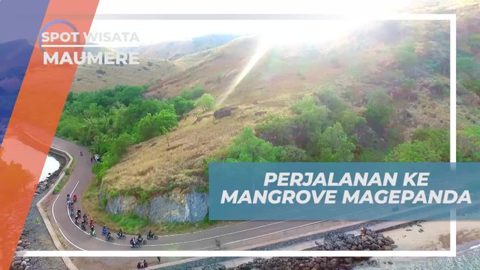 Naik Motor Bersama Komunitas Menuju Mangrove Magepanda Maumere