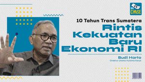 10 Tahun Trans Sumatera Rintis Kekuatan Baru Ekonomi RI