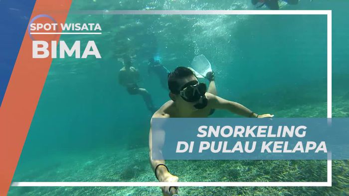 Snorkeling Asik Menikmati Keindahan Bawah Laut Pulau Kelapa, Bima