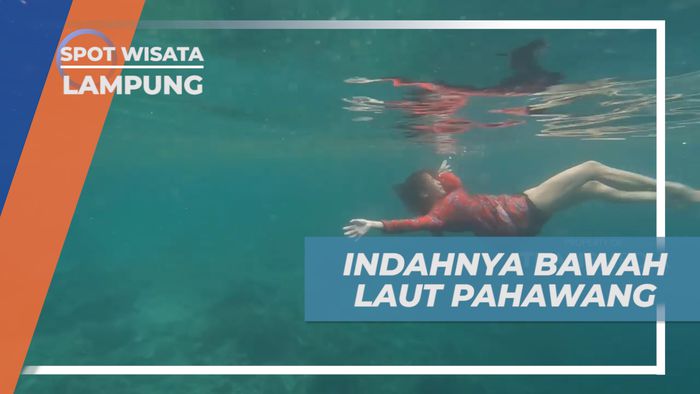 Mengintip Pesona Keindahan Bawah Laut Pahawang yang Super Eksotis, Lampung