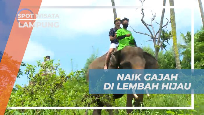 Liburan Seru, Mengunjungi Taman Wisata Satwa di Lembah Hijau, Lampung