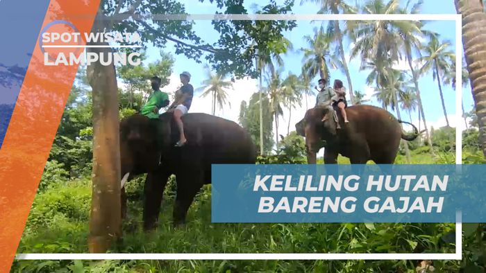 Lembah Hijau, Berkeliling Hutan Sambil Naik Gajah, Lampung