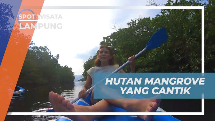 Menyusuri Indahnya Pemandangan Hutan Mangrove Pahawang, Lampung