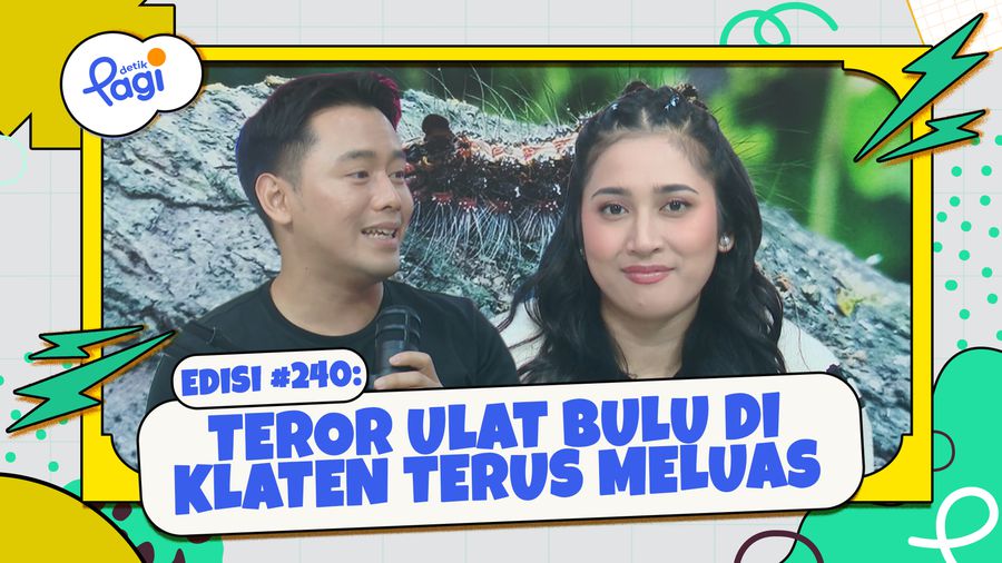 Teror Ulat Bulu di Klaten Terus Meluas