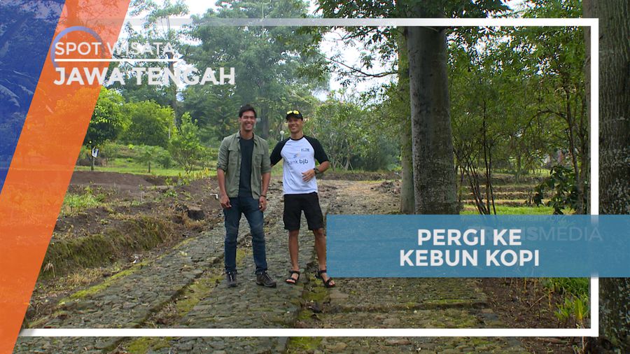 Mengunjungi Agrowisata Kebun Kopi di Kaki Gunung Merbabu, Salatiga